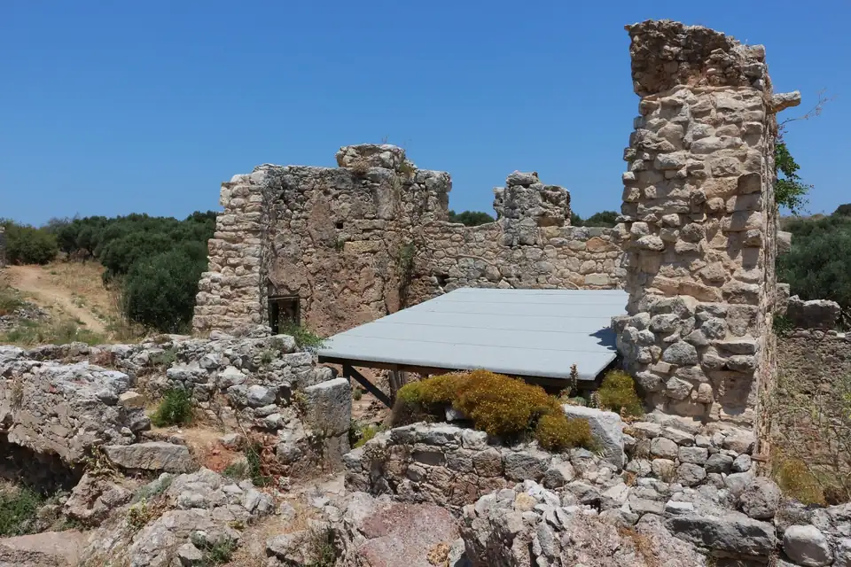 Aptera.